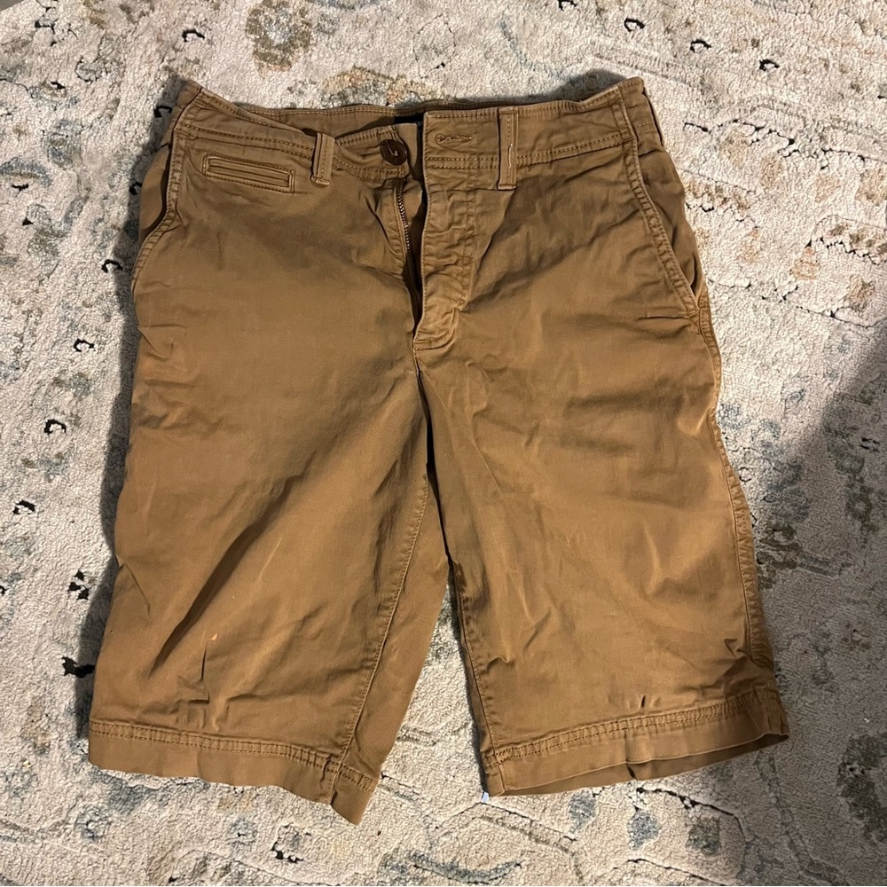 American Eagle Outfitters Brown Flat Front Shorts